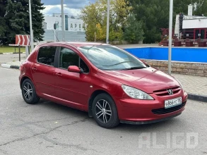 Peugeot 307, 2005